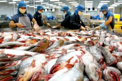 5 doanh nghiệp Việt lọt danh sách tăng trưởng toàn cầu